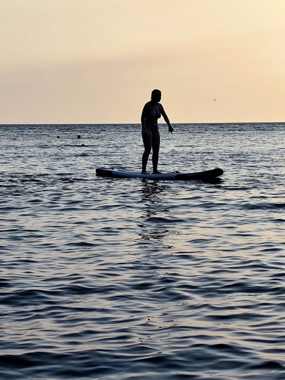 Paddleboard silhouette on the Adriatic at sunset