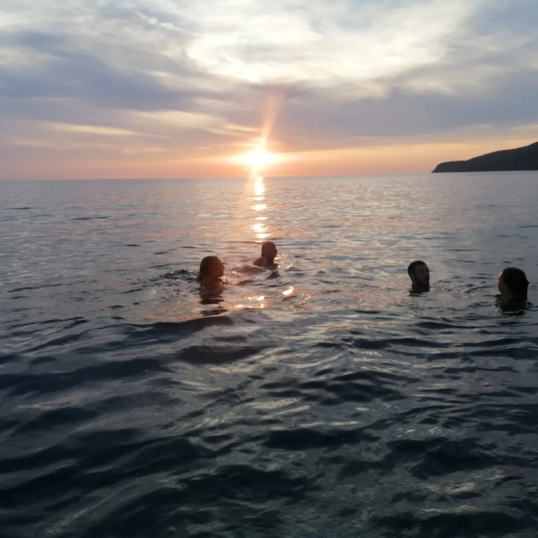 Swimmers enjoying calm water in golden evening light